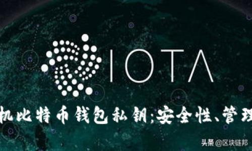 全面解析手机比特币钱包私钥：安全性、管理与使用技巧