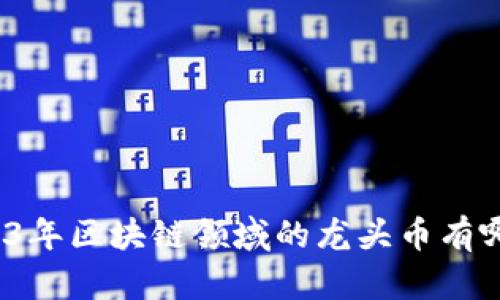 2023年区块链领域的龙头币有哪些？