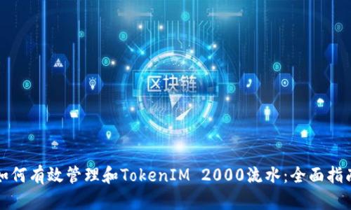 如何有效管理和TokenIM 2000流水：全面指南