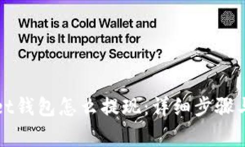 在tpWallet钱包怎么提现：详细步骤与注意事项