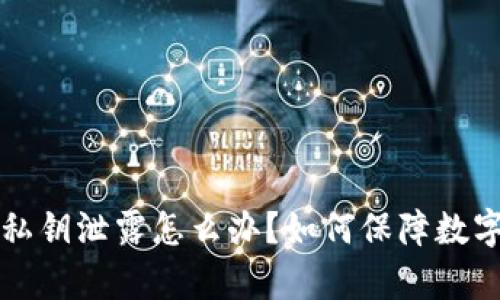 tpWallet私钥泄露怎么办？如何保障数字资产安全