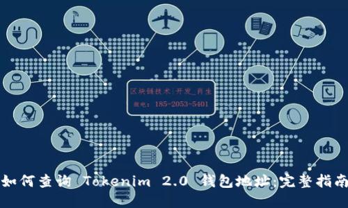 如何查询 Tokenim 2.0 钱包地址：完整指南