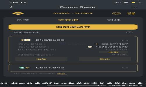 所有钱包都支持比特币吗？深入解析数字货币钱包的真正支持情况