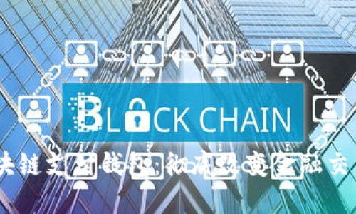 biasi区块链支付钱包：彻底改变金融交易的未来