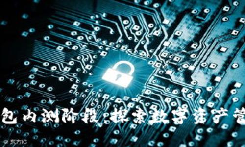 以太坊钱包内测阶段：探索数字资产管理的未来