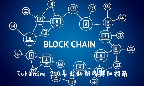 Tokenim 2.0导出私钥的详细指南