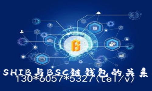 全面解析SHIB与BSC链钱包的关系及其影响