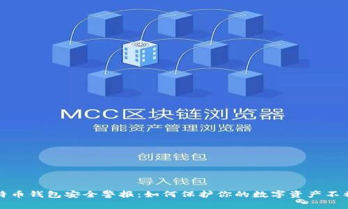 比特币钱包安全警报:如何保护你的数字资产不被盗