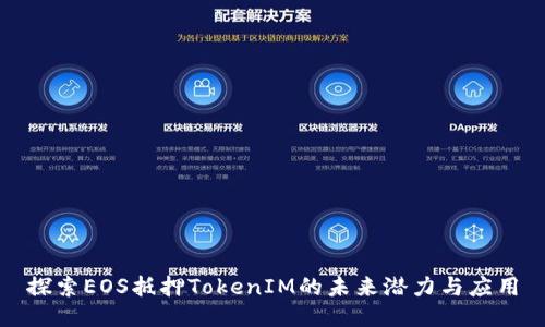 探索EOS抵押TokenIM的未来潜力与应用
