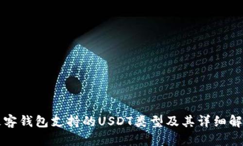 极客钱包支持的USDT类型及其详细解析