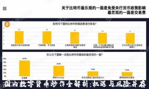 
国内数字货币炒作全解析：机遇与风险并存