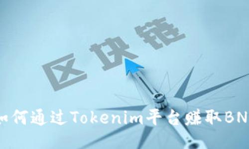 如何通过Tokenim平台赚取BNB
