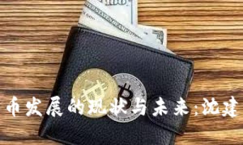 : 数字货币发展的现状与未来：沈建光的观点