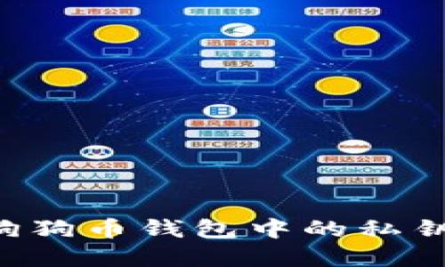 如何找到狗狗币钱包中的私钥：完整指南