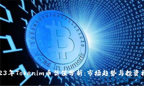 2023年Tokenim币估值分析：市场趋势与投资机会