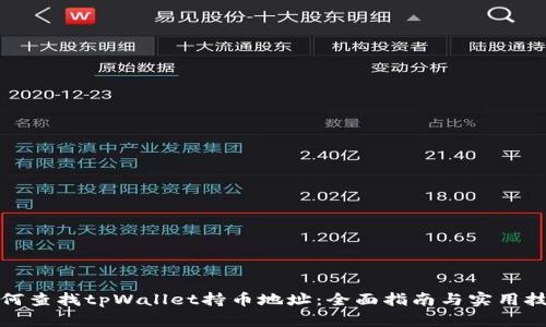 如何查找tpWallet持币地址：全面指南与实用技巧