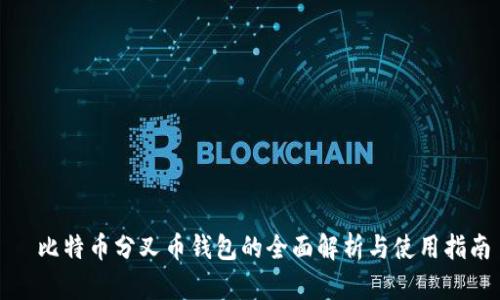   比特币分叉币钱包的全面解析与使用指南