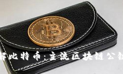 深入了解比特币：主流区块链公链的先锋