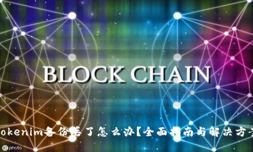 tokenim备份丢了怎么办？全面指南与解决方案